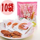 種ぬき 干し梅(個包装タイプ)50g×10袋セット