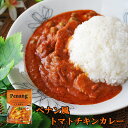 ハラル認証 ペナン風トマトチキンカレー(レトルトカレー 180g)DFE
