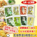 乾燥野菜 国産 8種類セット吉良食品(れんこん・ごぼう・にんじん・ねぎ・たまねぎ・ほうれんそう・キャベツ・大根の葉)九州産 山口県 干し野菜 長期保存食【あす楽対応】