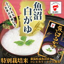 魚沼白がゆ250g(たいまつ食品) レトルト おかゆ 低カロリー ダイエット 新潟県産こしひかり コシヒカリ 国内産(あす楽対応)