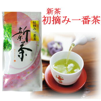【新茶】初摘み一番茶（100g）（静岡掛川・佐々木製茶）