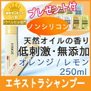 イオニート エッセンスV シャンプー 250ml イオニート EX エキストラ シャンプー即納 お得 ノンシリコン 低刺激 サロン専売【あす楽】【RCP】 10P19Dec15