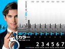 全巻セット【中古】DVD▼ホワイトカラー ‘知的’犯罪 ファイル(7枚セット)第1話?第14話 最終▽レンタル落ち【海外ドラマ】