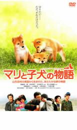 【中古】DVD▼マリと子犬の物語▽レンタル落ち【東宝】new39