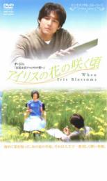 【中古】DVD▼アイリスの花の咲く頃【字幕版】▽レンタル落ち【韓国ドラマ】【チ・ジニ】