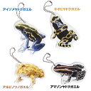 True frogs kh Tf-01 アイゾメヤドクガエル・キオビヤドクガエル・アルビノツノガエル...