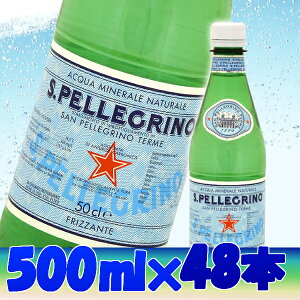 【完売品】サンペレグリノ 天然炭酸水 ペットボトル 500mL× 48本入送料無料 天然水 水 飲料水 炭酸水 テーブルウォーター まとめ買い ストック 防災用品 備え【D】