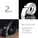 【送料無料】 2color メンズ レザー ベルト