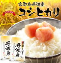 平成29年京都府丹波産こしひかり10kg...