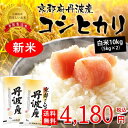 ★新米★平成30年京都府丹波産こしひかり10kg(5kg×2...