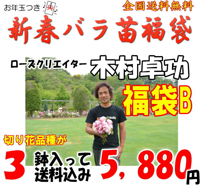 お年玉付き♪木村卓功福袋B　6号角鉢＆培養土サンプル付きお一人様1点限り