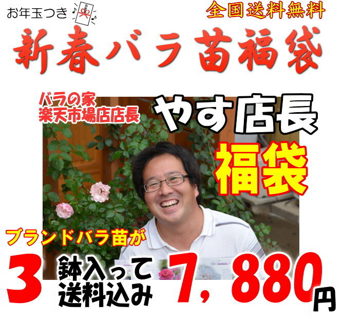 お年玉付き♪やす店長福袋　6号角鉢＆培養土サンプル付きお一人様1点限り