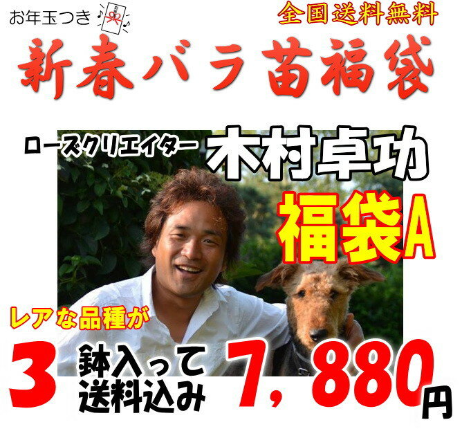 お年玉付き♪木村卓功福袋A　6号角鉢＆培養土サンプル付きお一人様1点限り