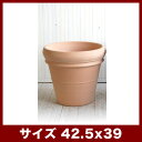 【メーカー取寄せ品】デローマ 31W/C リムポット 42cm ≪植木鉢/陶器/イタリアンテラコッタ・素焼き鉢系≫