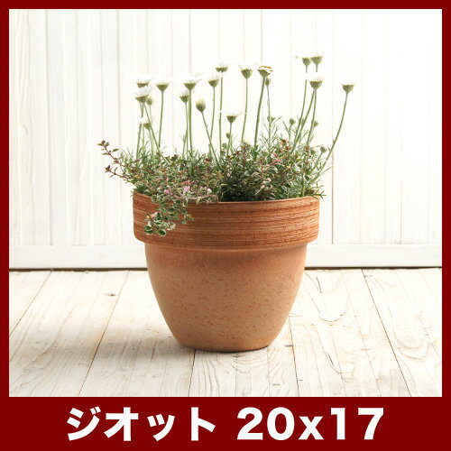 シルマ　ジオットポット スクラッチ　20cm　≪植木鉢/陶器/イタリアンテラコッタ・素焼き鉢系≫