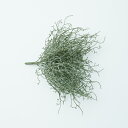 【造花】【フェイクグリーン】 スパニッシュ モス ブッシュ 【インテリア 観葉植物 人工植物 おしゃれ 壁掛け リーフ】