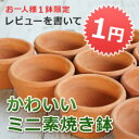 【レビューを書いて1円】ドイツ/日本/タイ製素焼き鉢　≪植木鉢/陶器/テラコッタ・素焼き鉢系≫ぜひ同梱してください！