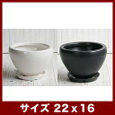 ルッカ　MKF142 受け皿付き　7号　　≪植木鉢/陶器鉢/磁器系≫