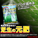 ゴルフ場も太鼓判!バロネス 芝生の元肥 2.5kg 種苗初期生育向け。 芝生の肥料 種まき時 芝張り時【あす楽対応】【共栄社】【店頭受取対応商品】
