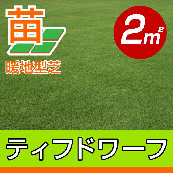 /代引不可/送料込み/ティフドワーフ(張り芝用)　宮崎産　2平米(0.6坪分)　園芸...:baroness:10000687