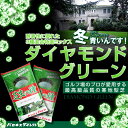 ダイヤモンドグリーン　1kg入りお庭の広さ6〜7.6坪用　寒地型芝生の種　園芸発芽適温摂氏15〜25度程度です。「となりの芝生」になっていただきます。ゴルフ場のプロが愛用する最高級品質の寒地型芝生。