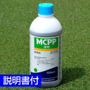 西洋芝（ケンタッキーブルーグラス）なら使用可能です。ゴルフ場も使用の芝生用除草剤　MCPP液剤　500ml入り