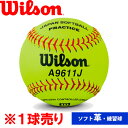 あす楽 Wilson ウイルソン 3号革ソフトボール 練習球 1球 単品 WTA9611J wil21ss ball16 202104-new
