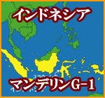 インドネシア　マンデリンG-1　200g　芭蕉珈琲【gourmet0119】