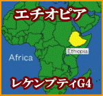 エチオピア・レケンプティ G4　（モカ）　200g　芭蕉珈琲【gourmet0119】