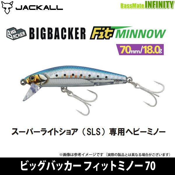 ジャッカル「ビッグバッカーフィットミノー」は、SLS専用のヘビーミノー！ | 【TSURI HACK】日本最大級の釣りマガジン - 釣りハック