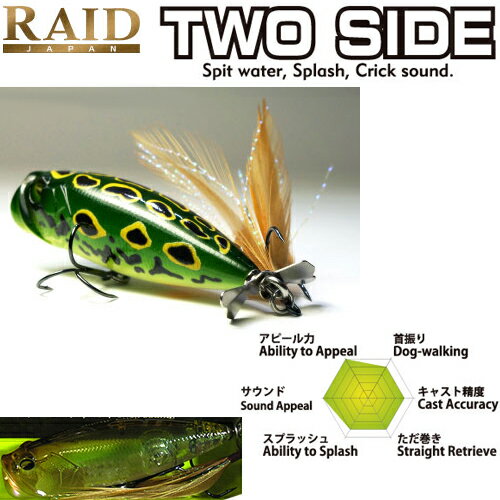 RAID JAPAN レイドジャパン　TWO SIDE トゥーサイド 