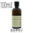 【送料無料】フレーバーライフ(エッセンシャルオイル/アロマオイル/精油)カルダモン(100ml)【エッセンス リラックス リフレッシュ 高品質 フレグランスオイル 入浴剤 お風呂 バスタイム 半身浴 アロマバス アロマ 芳香浴 バス】