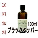 【送料無料】フレーバーライフ(エッセンシャルオイル/アロマオイル/精油)ブラックペッパー(100ml)【エッセンス リラックス リフレッシュ 高品質 フレグランスオイル 入浴剤 アロマ 香り お風呂 バスタイム 半身浴 アロマバス】