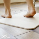 soil バスマット ライト【送料無料 珪藻土 ソイル soil bathmat light】【あす楽対応】【cosme_asuraku】