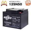 12SN50 埋め込み式■純正品と完全互換【安心の動作確認済み製品】■NP38-12,NPC38-12,PE