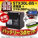 バイクでスマホ充電 USBチャージャー+充電器+ハーレー用 STX30L-BS セット 66010-97B 66010-97C 66010-97Aに互換 スーパーナット充電器(12V) 送料無料/在庫有り・即納/バイクバッテリー
