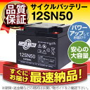 12SN50 埋め込み式【初期補充電済】■純正品と完全互換【安心の動作確認済み製品】■NP38-12,NPC38-12,PE12V40,HF44-12A,HV44-12A対応■シニアカー、セニアカーに対応■スーパーナット【安心保証付き】【新品 産業用鉛電池】