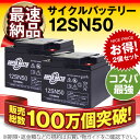 12SN50 埋め込み式【お得!2個セット】■純正品と完全互換【安心の動作確認済み製品】■NP38-12,NPC38-12,PE12V40,HF44-12A,HV44-12A対応■シニアカー、セニアカーに対応■スーパーナット【安心保証付き】【新品 産業用鉛電池】