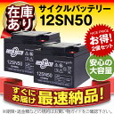 【在庫あり・即納】12SN50 ボルトナット式【お得!2個セット】■純正品と完全互換【安心の動作確認済み製品】■NP38-12,NPC38-12,PE12V40,HF44-12A,HV44-12A対応■シニアカー、セニアカーに対応■スーパーナット【あす楽】【安心保証付き】【新品 産業用鉛電池】