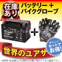 YTX9-BS■■STX9-BS YTR9-BS GTX9-BS FTX9-BSに互換■■台湾ユアサ【長寿命・保証書付き】【バイクバッテリー】