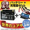 バイクバッテリー充電器+台湾ユアサTTZ12S セット 台湾製■■ボルティクス・スーパーナット【送料無料】【特別割引】PS250,フェイズ,シャドウファントム,シャドウ750,VFR,CBR1100XX ブラックバード,VTR1000F ファイアストーム【バイクバッテリー】