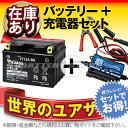 バイクバッテリー充電器+台湾ユアサYT12A-BS セット 台湾製■■ボルティクス・スーパーナット【送料無料】【特別割引】Bandit バンディット 1200S 1250S ABS、EPSILON エプシロン250、スカイウェイブ SV650【バイクバッテリー】
