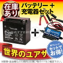 バイクバッテリー充電器+台湾ユアサYTX14-BS セット 台湾製■■ボルティクス・スーパーナット【送料無料】【特別割引】XJR,シャドウ,スカイウェイブ,SV1000,GSX,バルカン,ZZ-R,ZRX1200R,ZX-12R,V-ROD,Vロッド【バイクバッテリー】