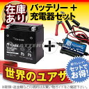 バイクバッテリー充電器+台湾ユアサYTX16-BS セット 台湾製■■YTX16-BS FTH16-BS YTX20A-BS YTX20CH-BSに互換■■ボルティクス・スーパーナット【送料無料】【特別割引】ゼファー,バルカン,VN2000【バイクバッテリー】