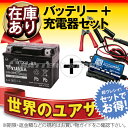 バイクバッテリー充電器+台湾ユアサYTX4L-BS セット 台湾製■■ボルティクス・スーパーナット【送料無料】【特別割引】ジョグ、トゥディ、ジョグポシェ、アクシス メイト、モレ、スーパーカブ50、アドレスV50【バイクバッテリー】