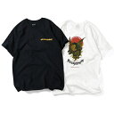 【半額 50%OFF 楽天スーパーSALE 2倍ポイント】 ALLY&DIA Ally and Dia アリーアンドダイア 山嵐 Short Sleeve TEE テング コラボレーション半袖Tシャツ インナー TENGU S/S TEE AD19SP001 山嵐 YAMAARASHI ミクスチャー 通販 オシャレ かっこいい モテる