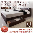 【送料無料】 クイーンベッド マットレス付き コンセント付き 収納ベッド 【Else】 エルゼ