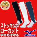 20%OFF 最大12%引クーポン ネコポス可 ス