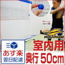 最大12%引クーポン 室内用バッティングネット ナノミニボール対応 フィールドフォース 送料無料 野球練習用品 打撃ネット 打撃用ネット トスバッティング ィーバッティング 誕生日 プレゼント ラッピング不可 あす楽 少年用 ジュニア