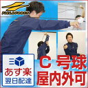 最大7%引クーポン インナーマッスルボール C号球サイズ フィールドフォース 野球練習用品 トレーニング用品 投球練習 ピッチング練習 強肩 球速 スピードアップ コントロール ソフトボール 誕生日 プレゼント 少年用 ジュニア あす楽